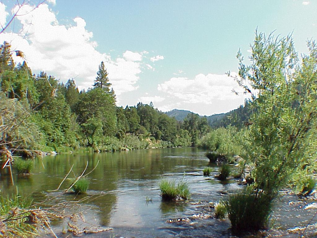 River Connection Realty Seiad Valley CA 96086 5304963657